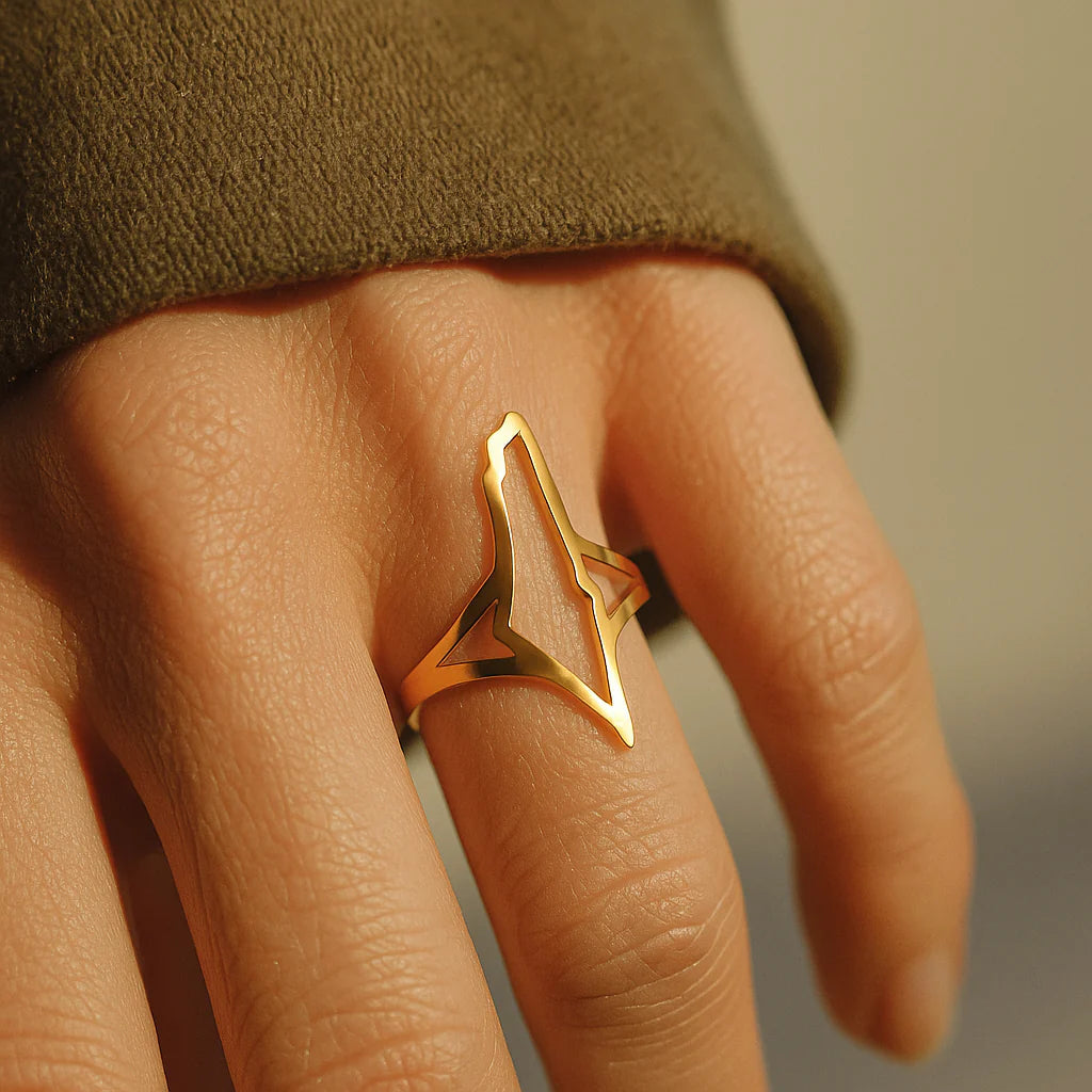 Bague Palestine Frontières