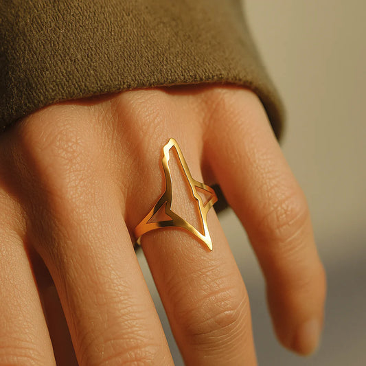 Bague Palestine Frontières