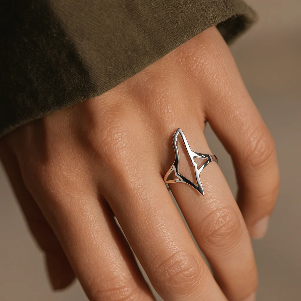 Bague Palestine Frontières